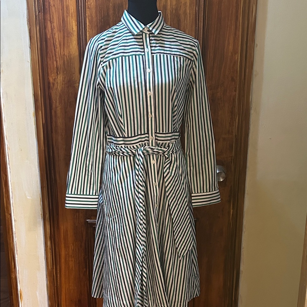 J. Crew Long Sleeve Striped Dress in Green and White